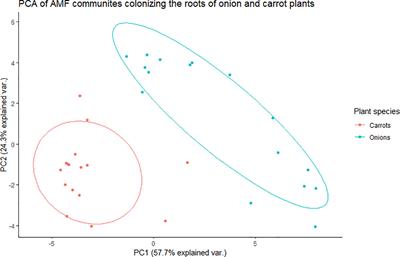 Influence of plant species, mycorrhizal inoculant, and soil phosphorus level on arbuscular mycorrhizal communities in onion and carrot roots